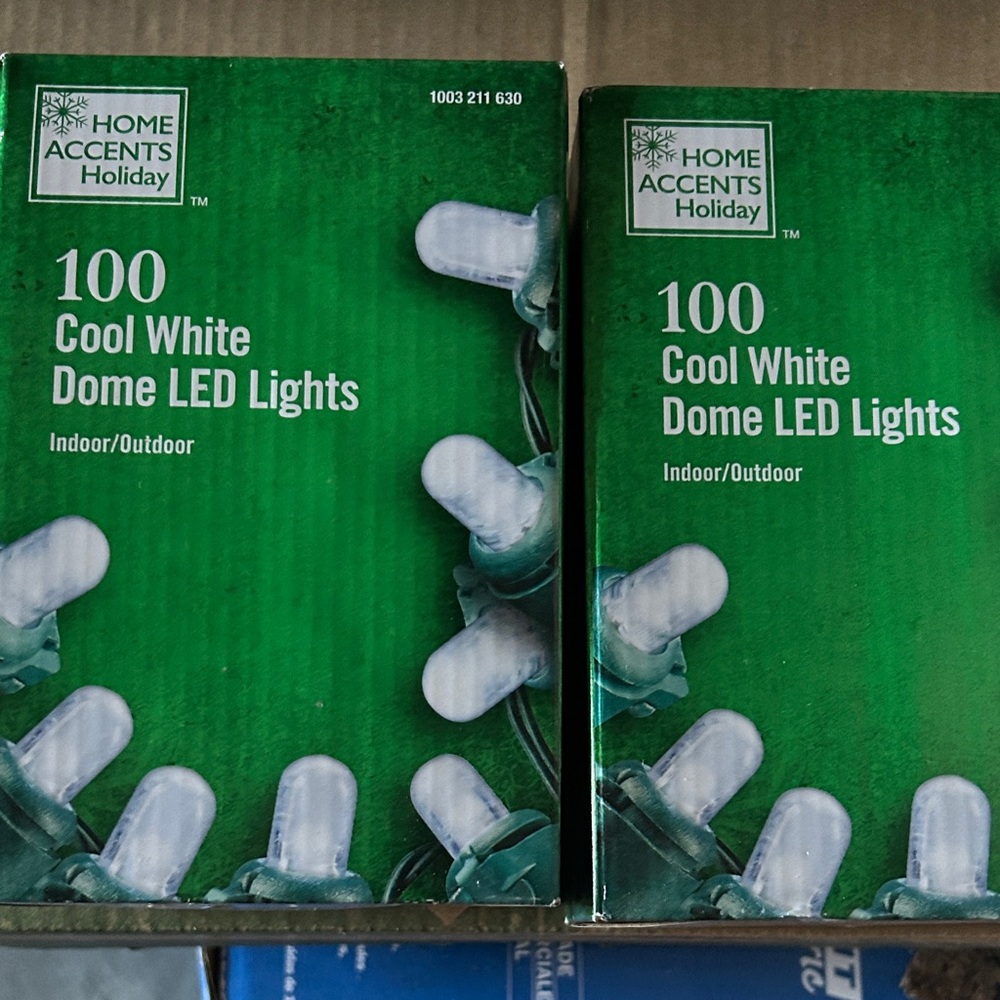 Home Accents Holiday Cool White Dome LED Lights 2 boxes